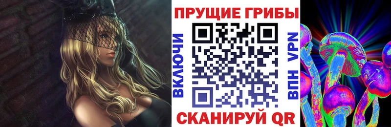 omg ссылка  Большой Камень  Псилоцибиновые грибы ЛСД 